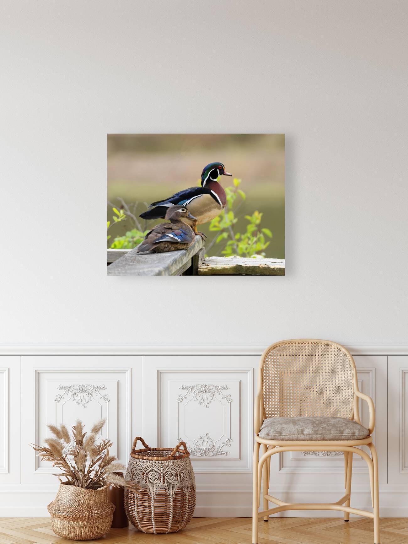 Waterfowl 32 Reproduction