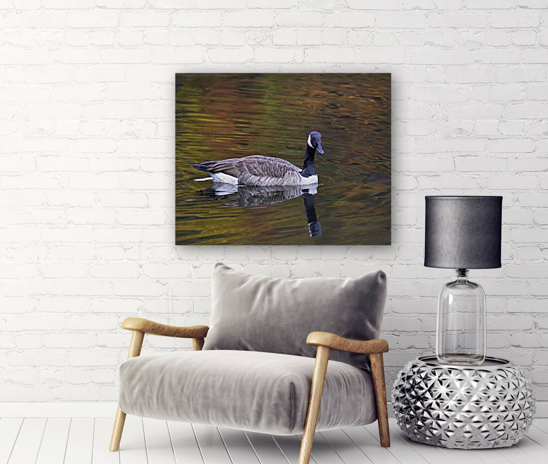 Waterfowl 35 Reproduction