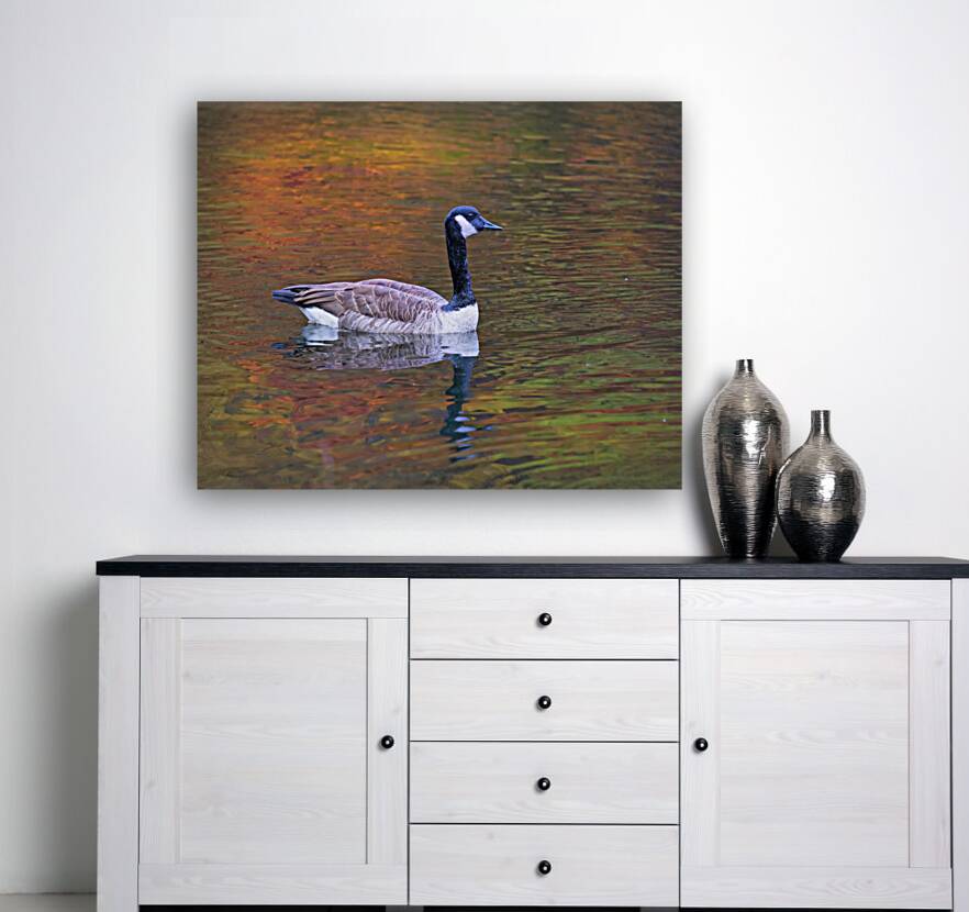 Waterfowl 41 Reproduction