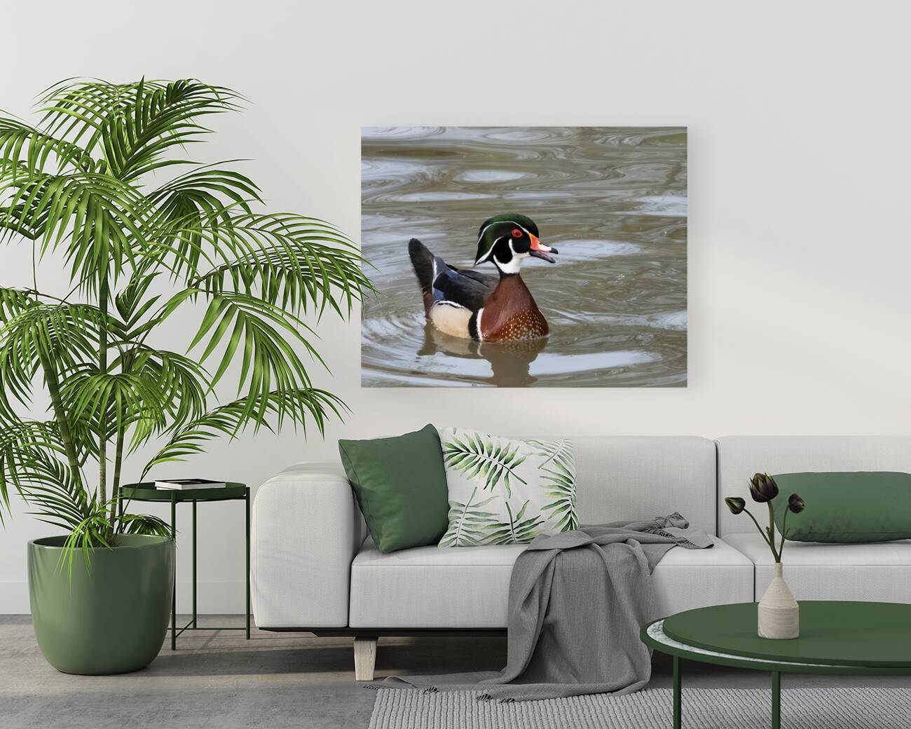 Waterfowl 42 Reproduction