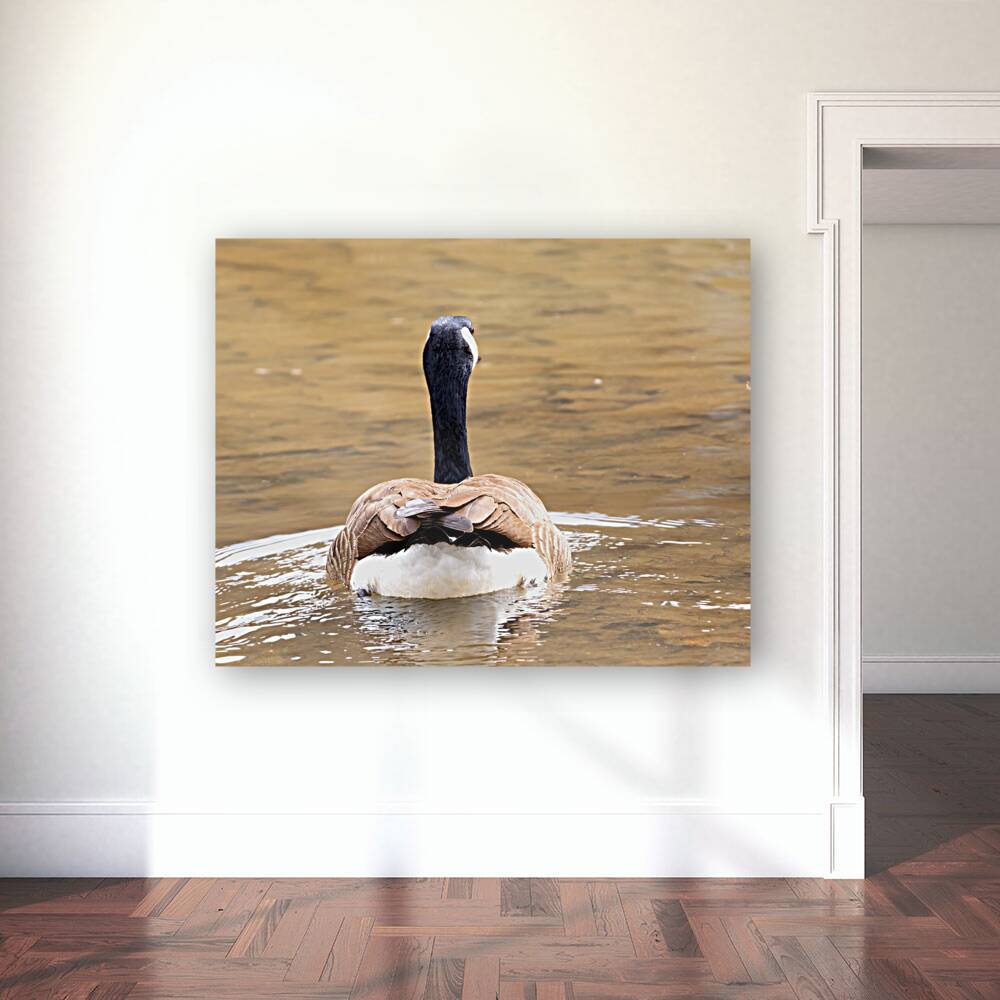 Waterfowl 53 Reproduction