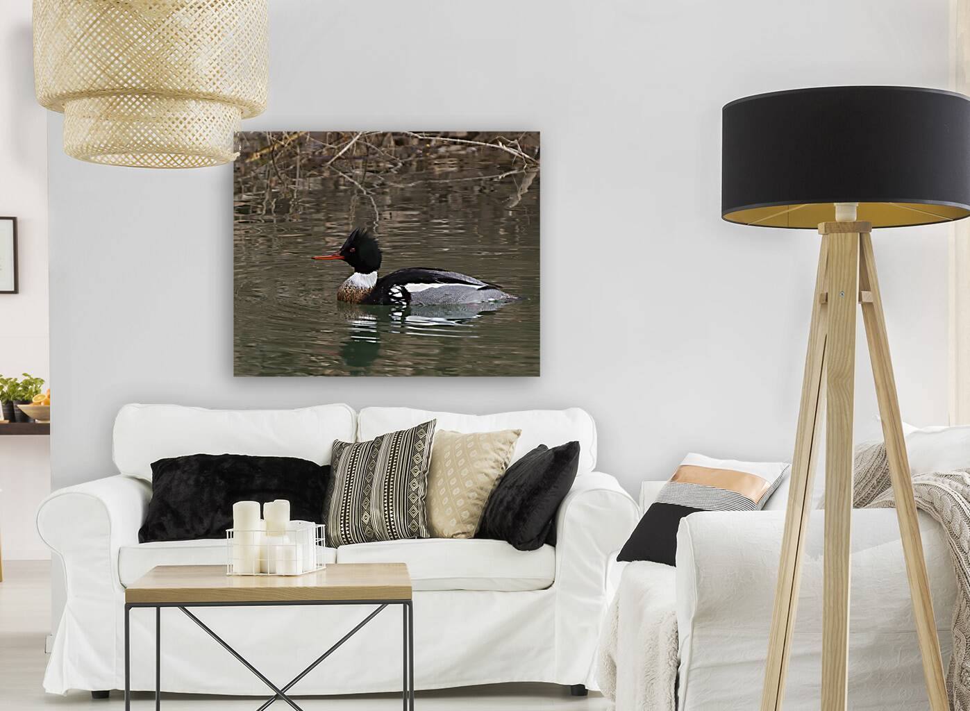 Waterfowl 59 Reproduction