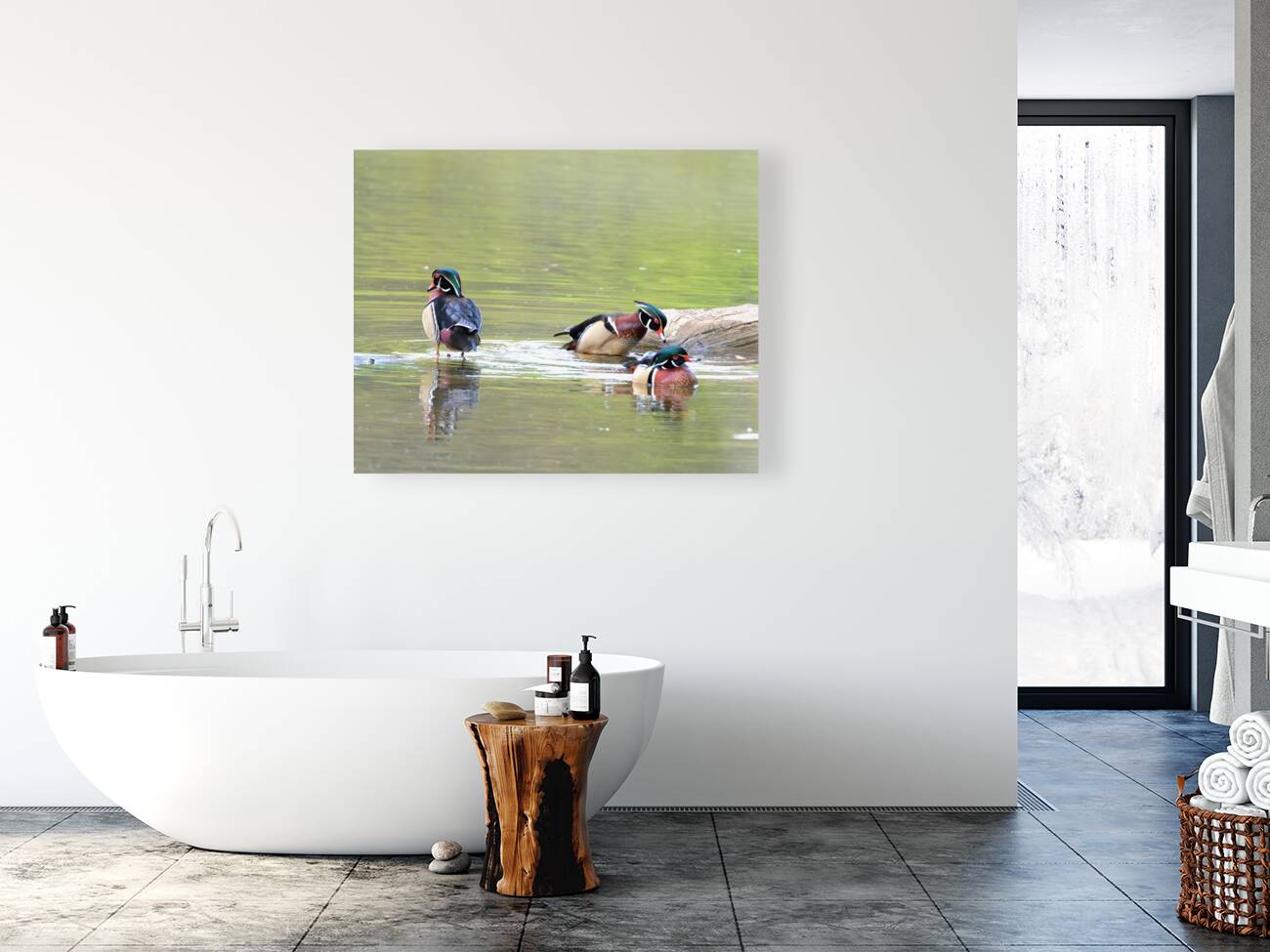 Waterfowl 69 Reproduction