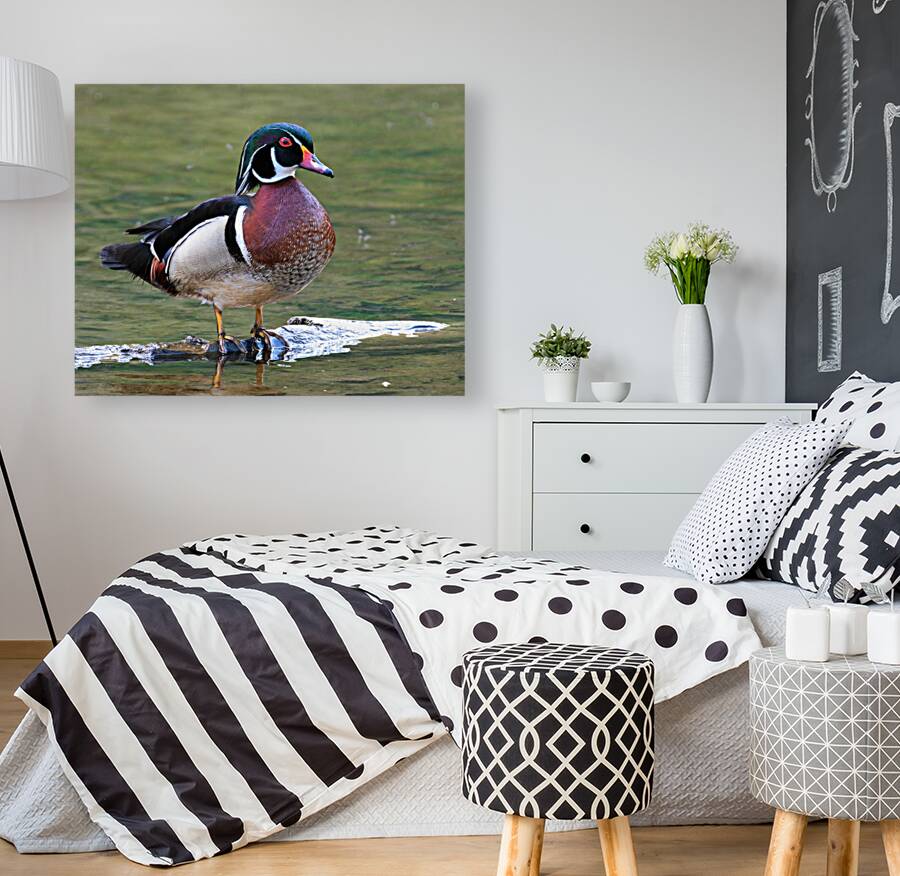 Waterfowl 83 Reproduction