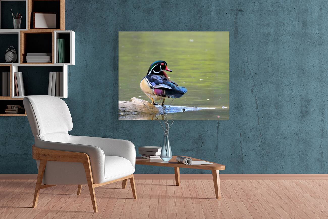 Waterfowl 85 Reproduction