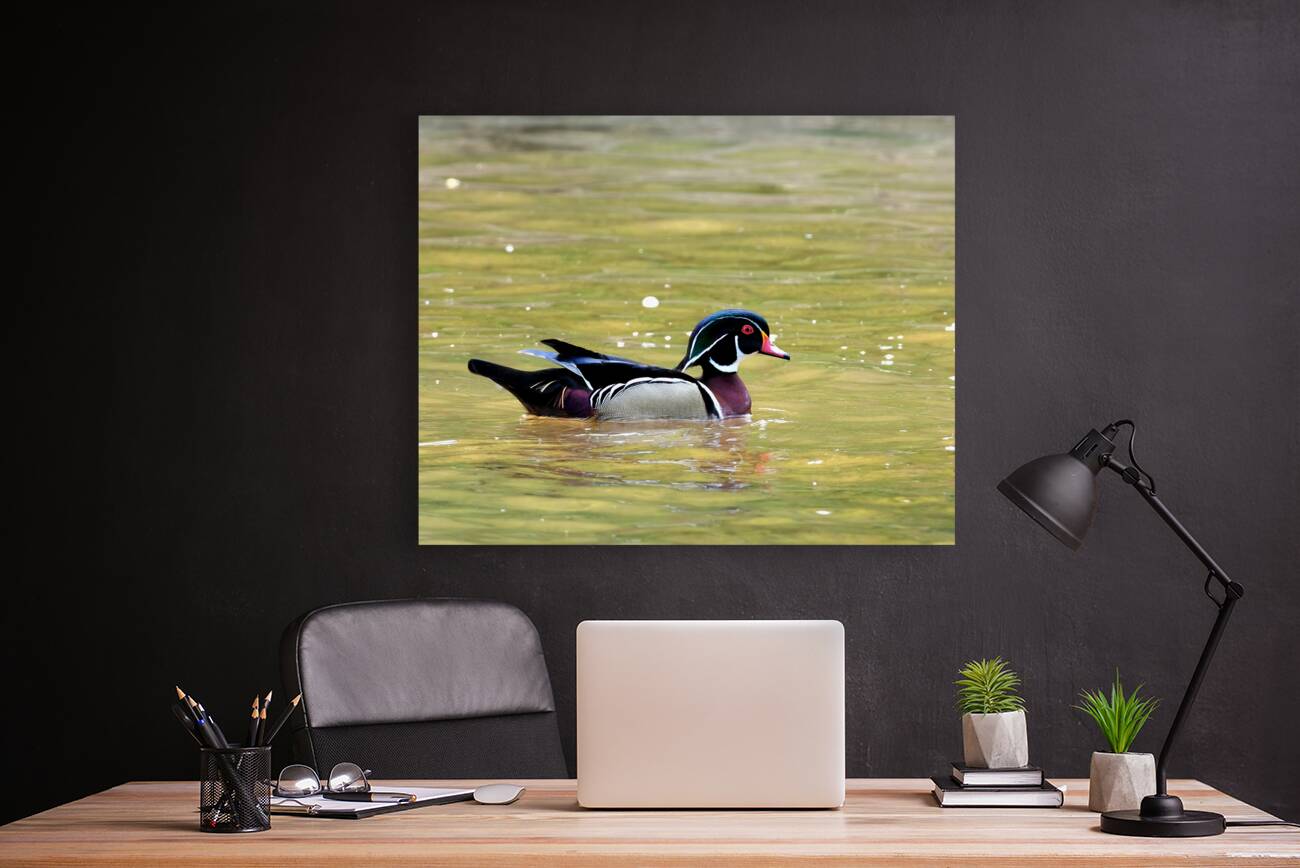 Waterfowl 88 Reproduction