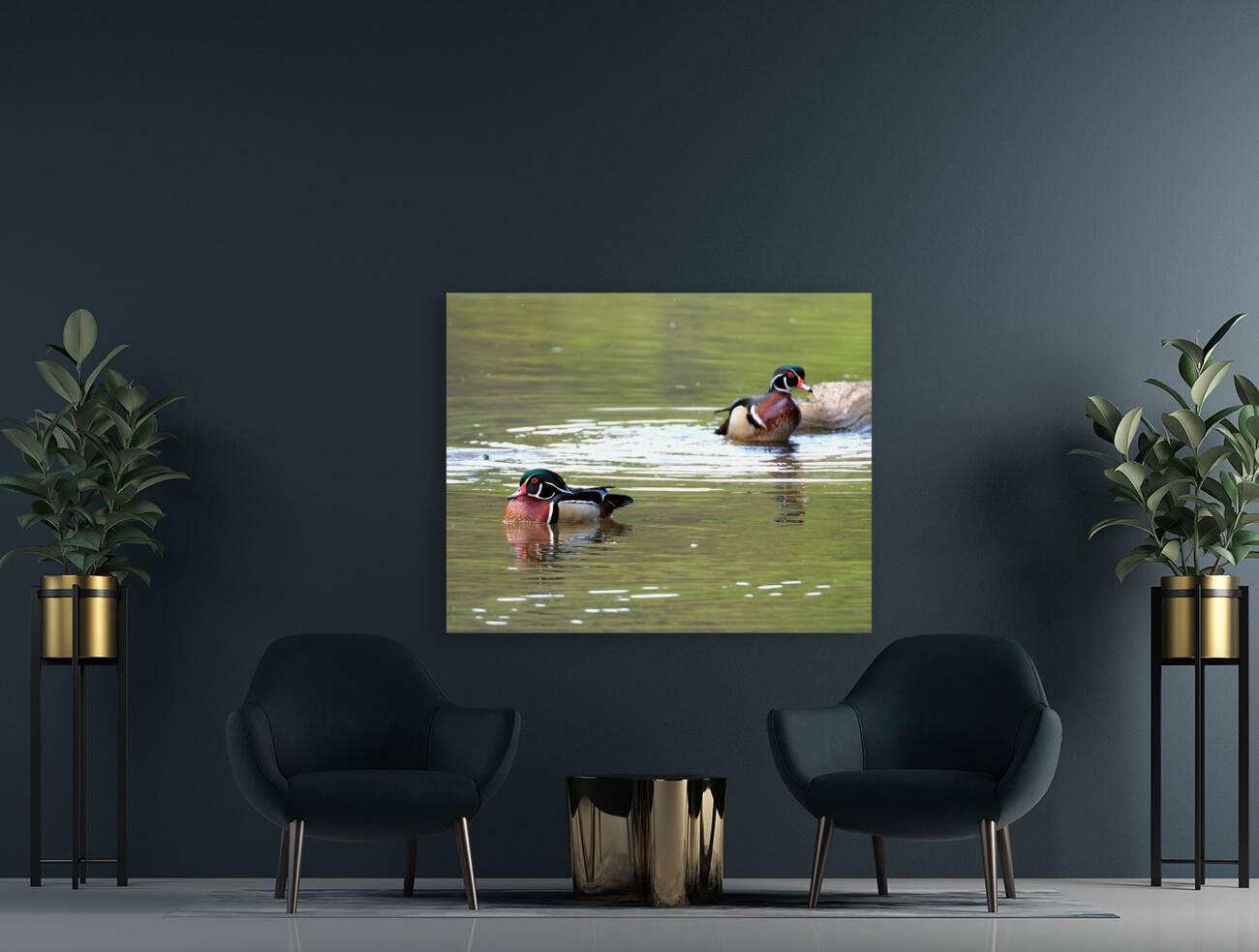 Waterfowl 93 Reproduction
