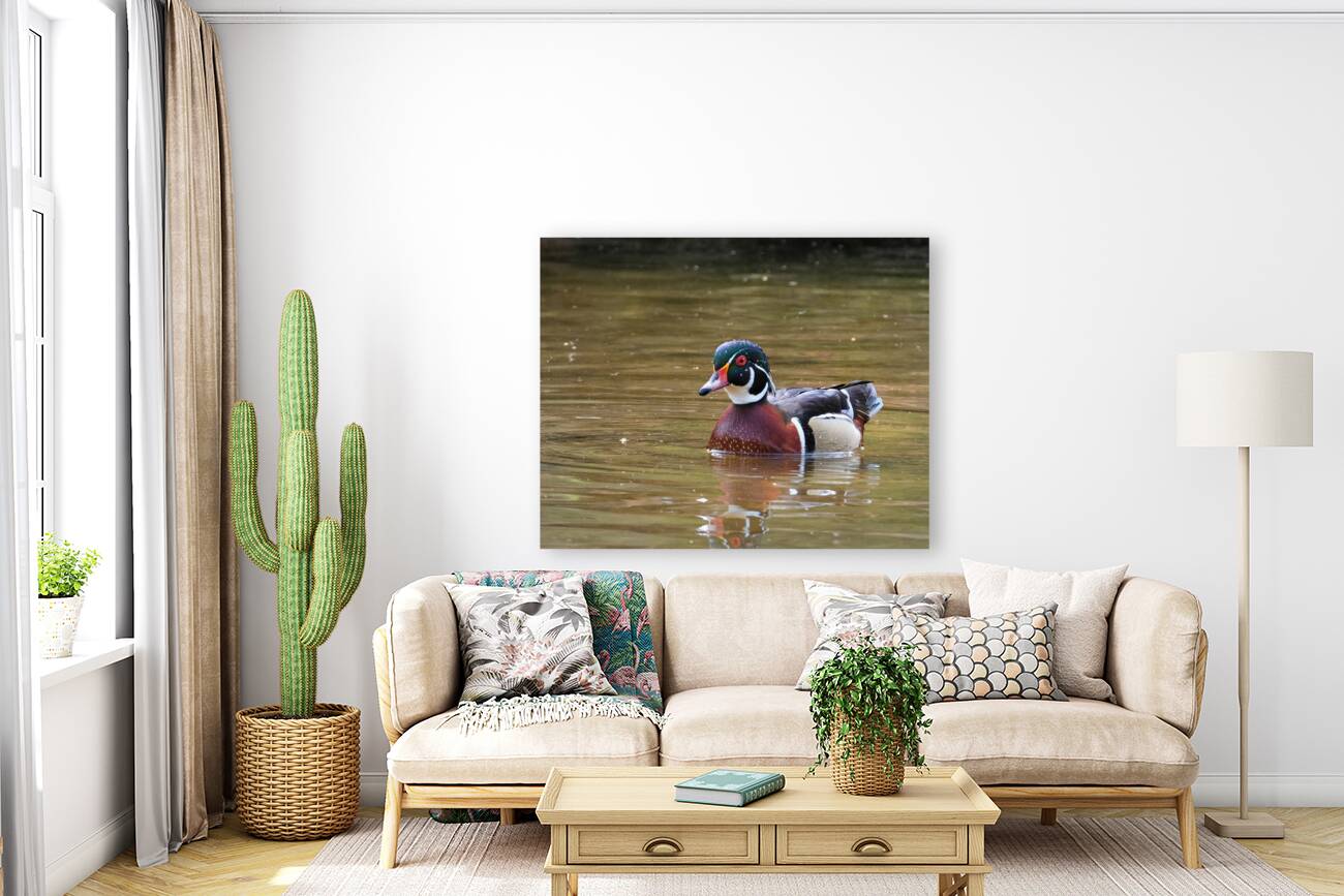 Waterfowl 94 Reproduction
