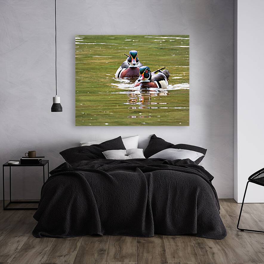 Waterfowl 97 Reproduction