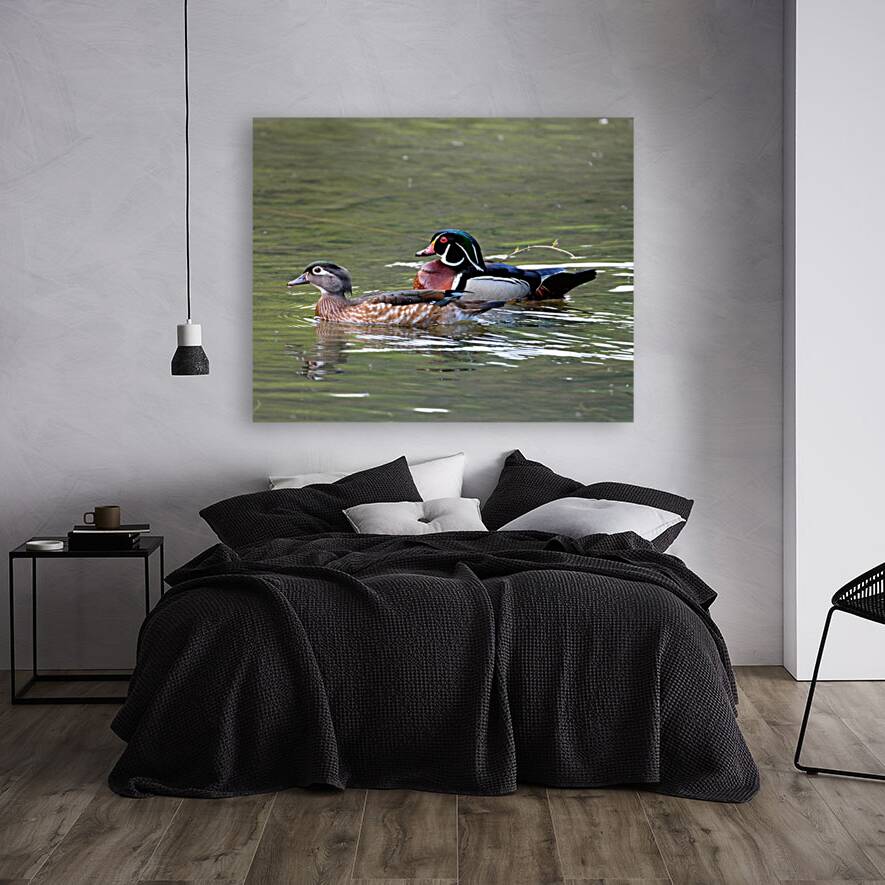 Waterfowl 101 Reproduction