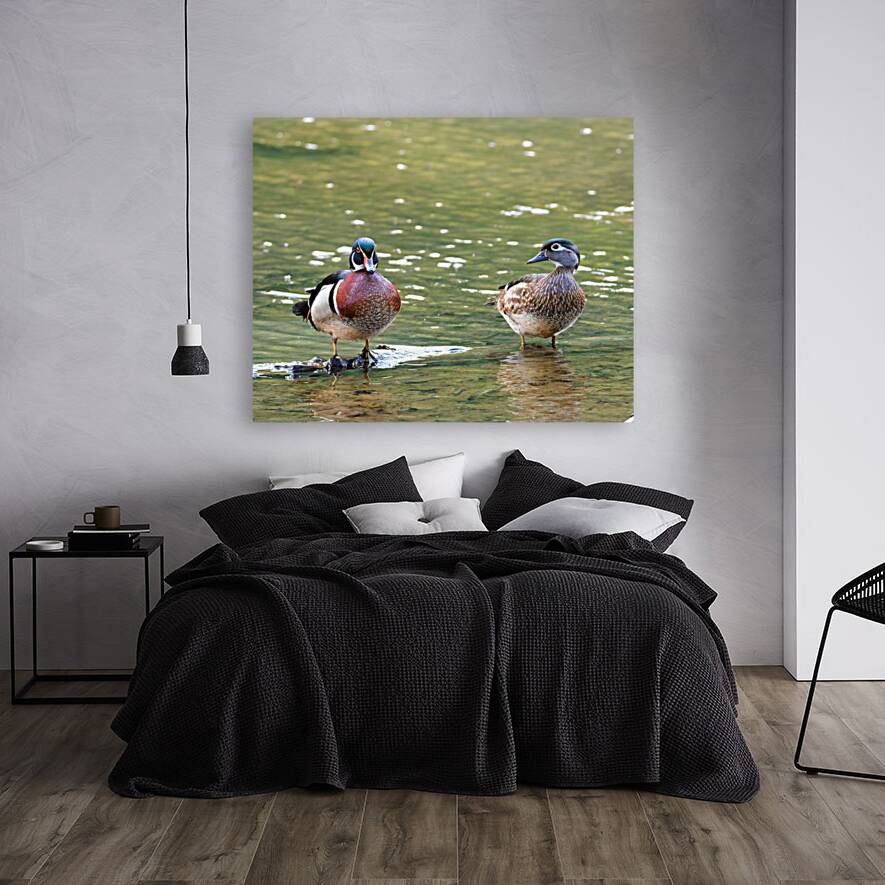 Waterfowl 102 Reproduction