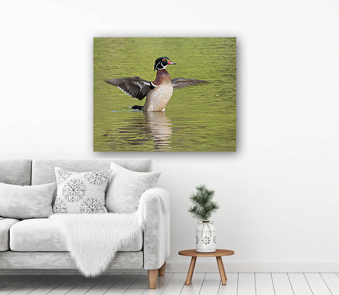 Waterfowl 103 Reproduction