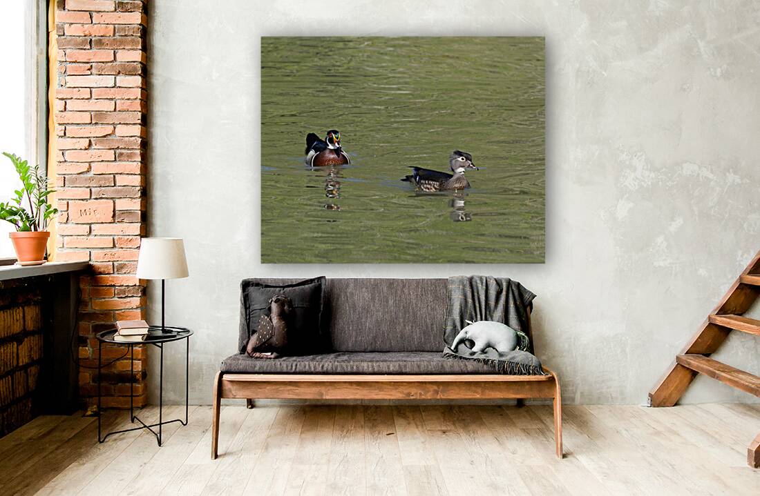 Waterfowl 104 Reproduction