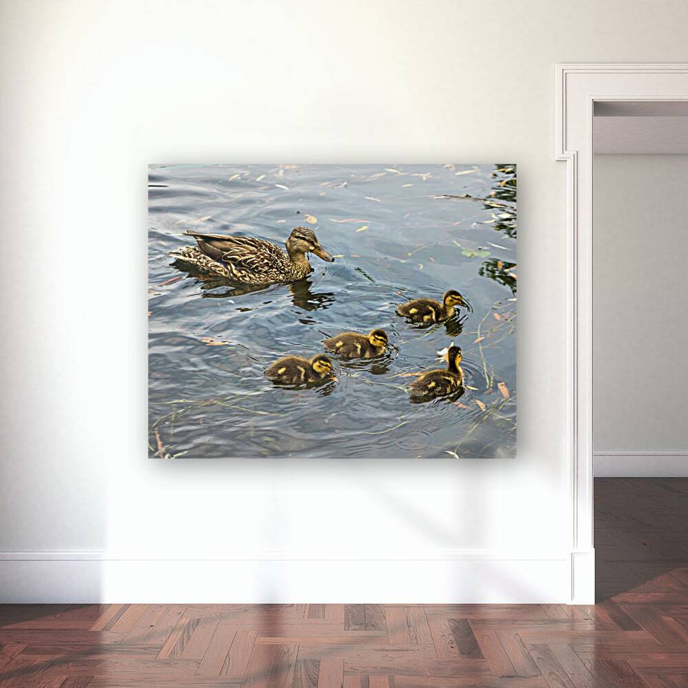Waterfowl 108 Reproduction