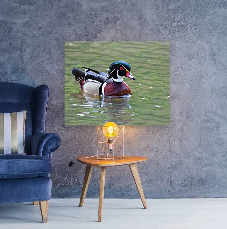 Waterfowl 111 Reproduction