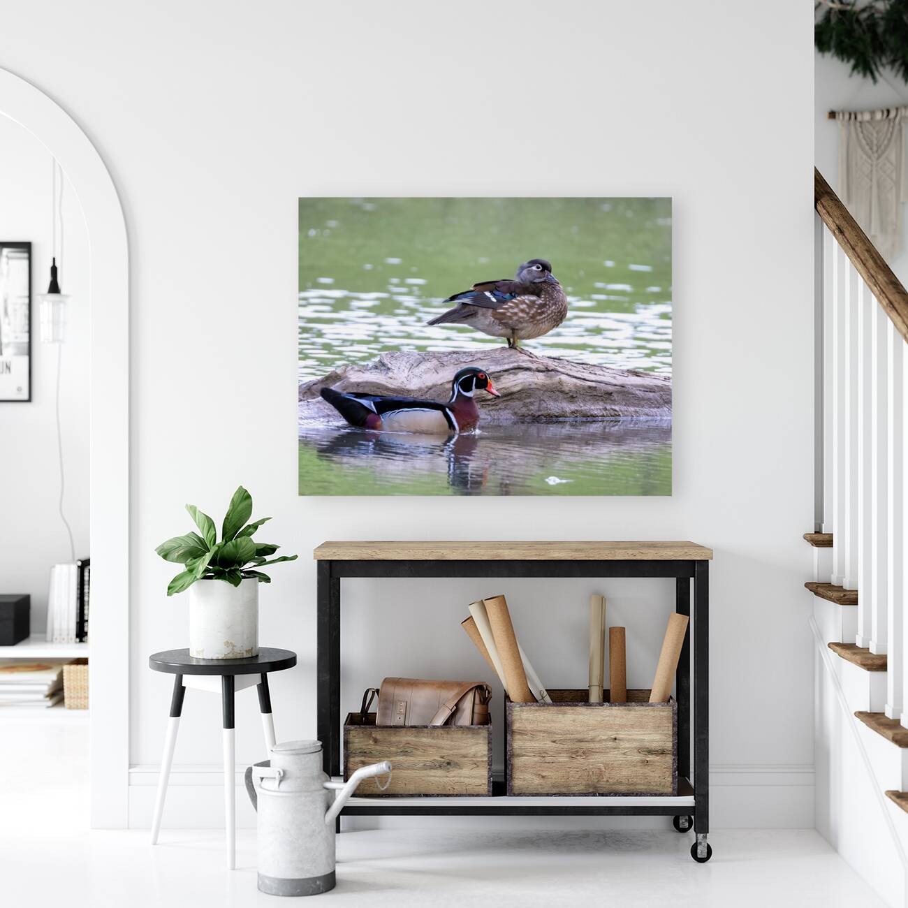 Waterfowl 112 Reproduction