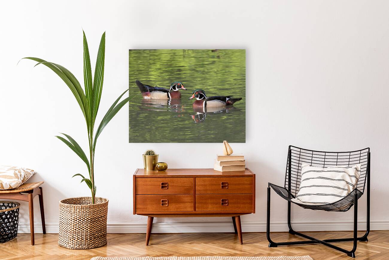 Waterfowl 115 Reproduction