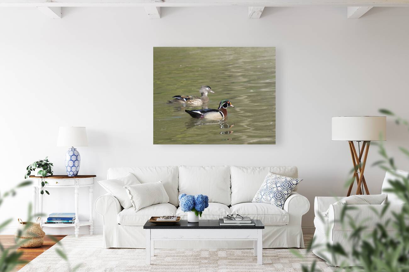 Waterfowl 124 Reproduction