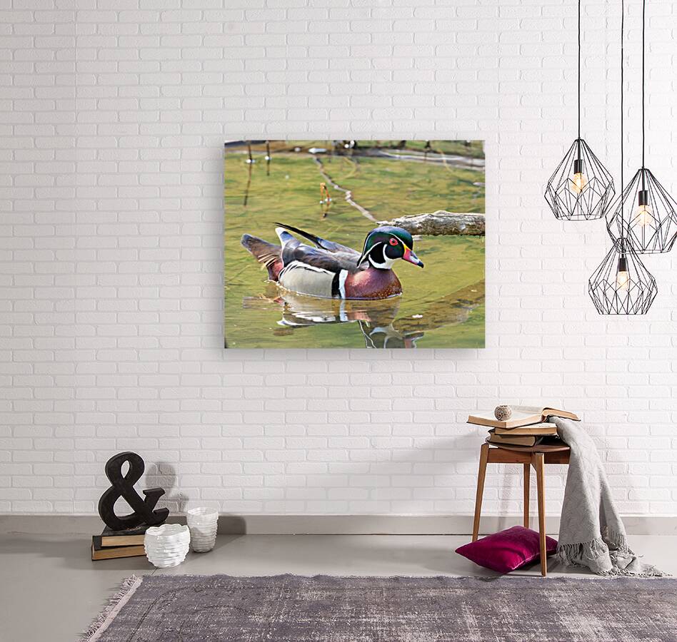 Waterfowl 129 Reproduction