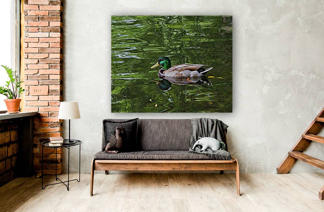 Waterfowl 137 Reproduction