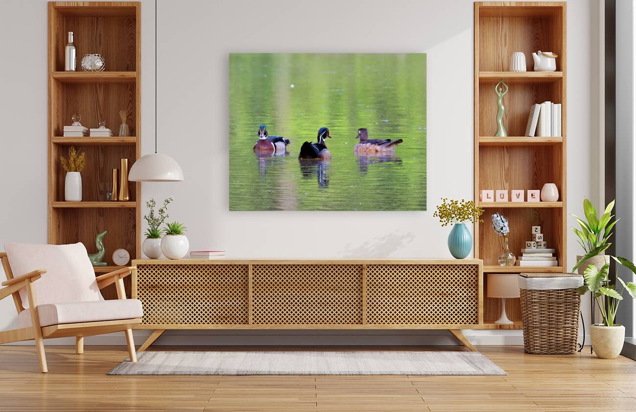 Waterfowl 145 Reproduction