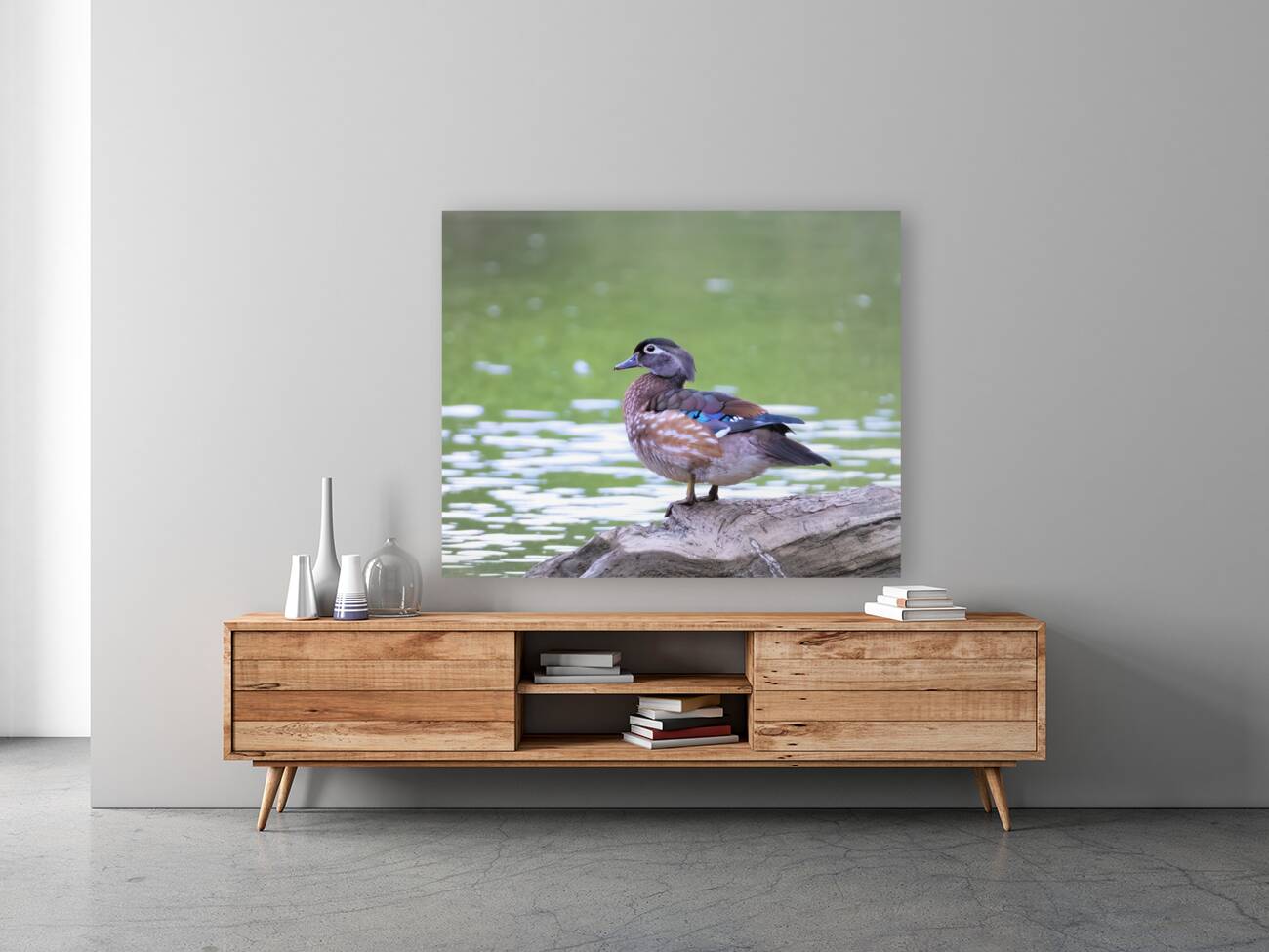 Waterfowl 147 Reproduction