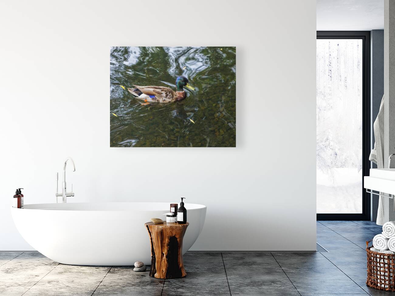 Waterfowl 151 Reproduction