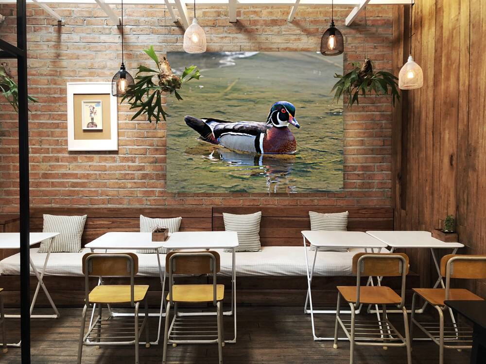 Waterfowl 155 Reproduction