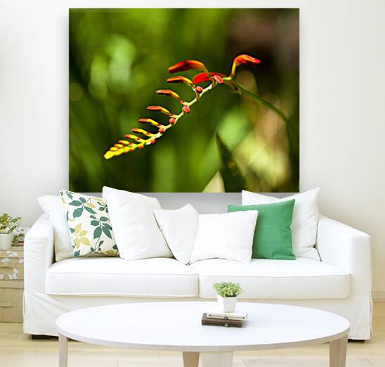 Abstract  45 Reproduction