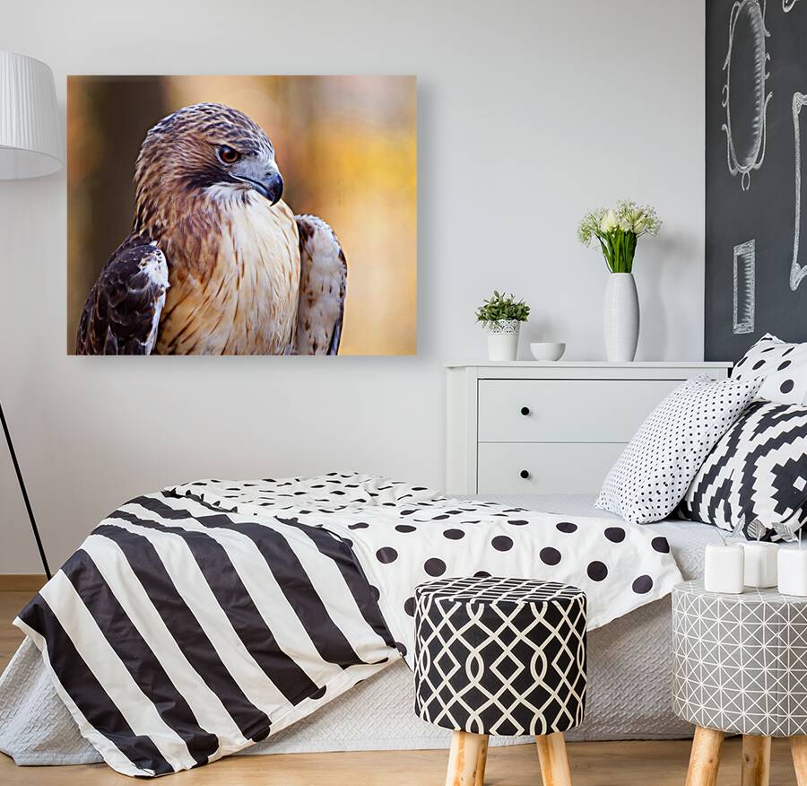 Birds  3 Reproduction