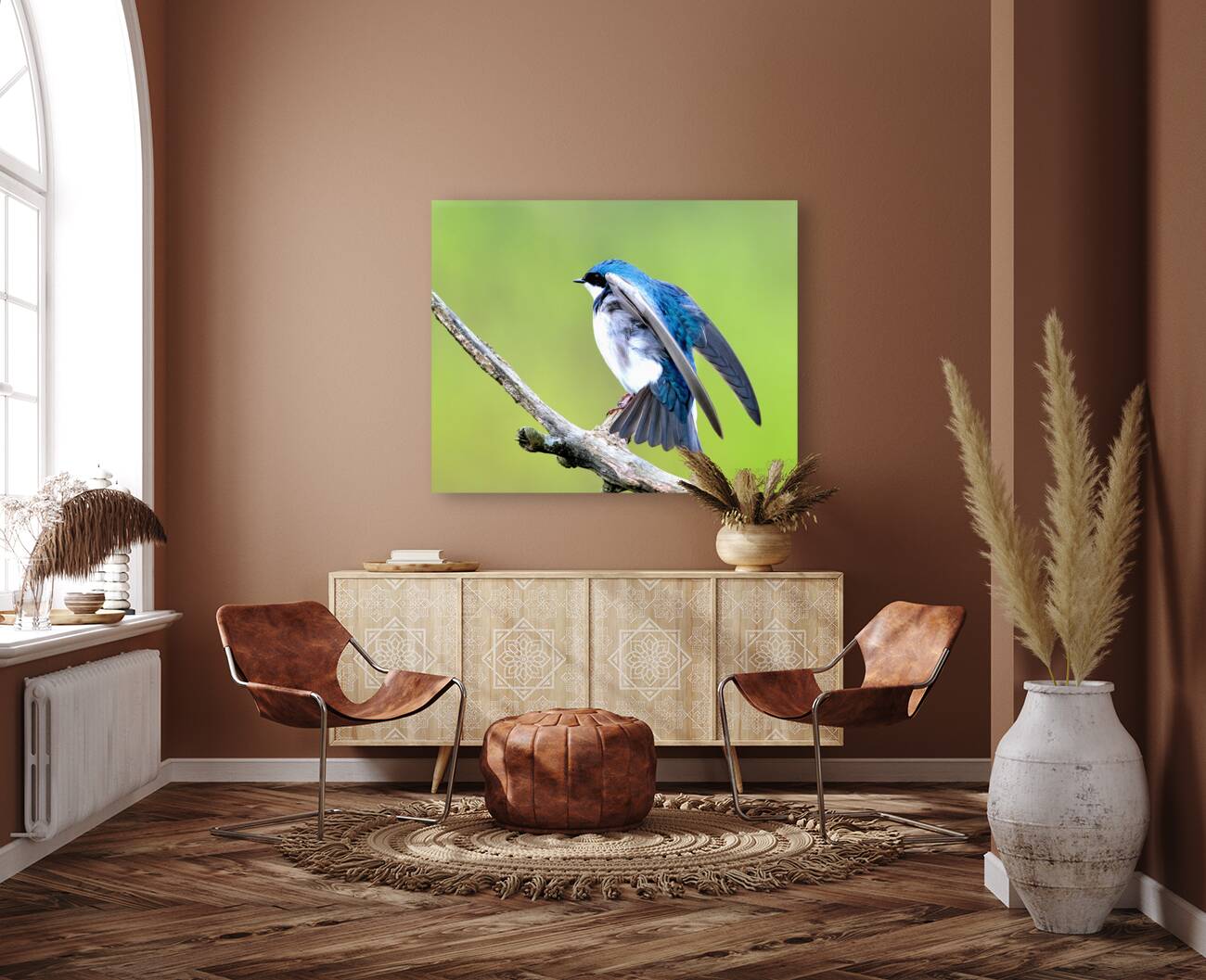 Birds  4 Reproduction