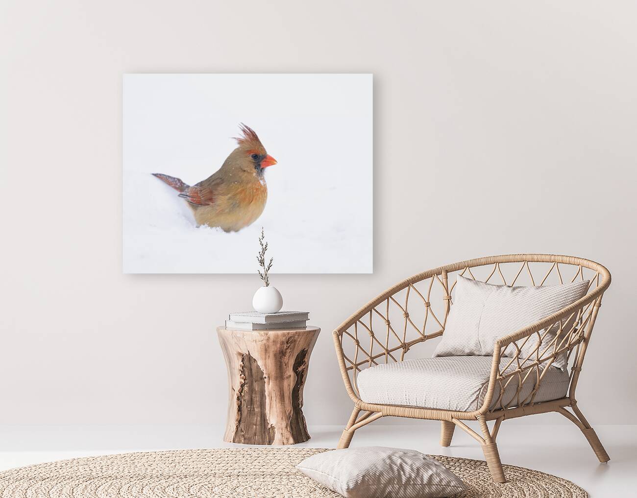 Birds  7 Reproduction