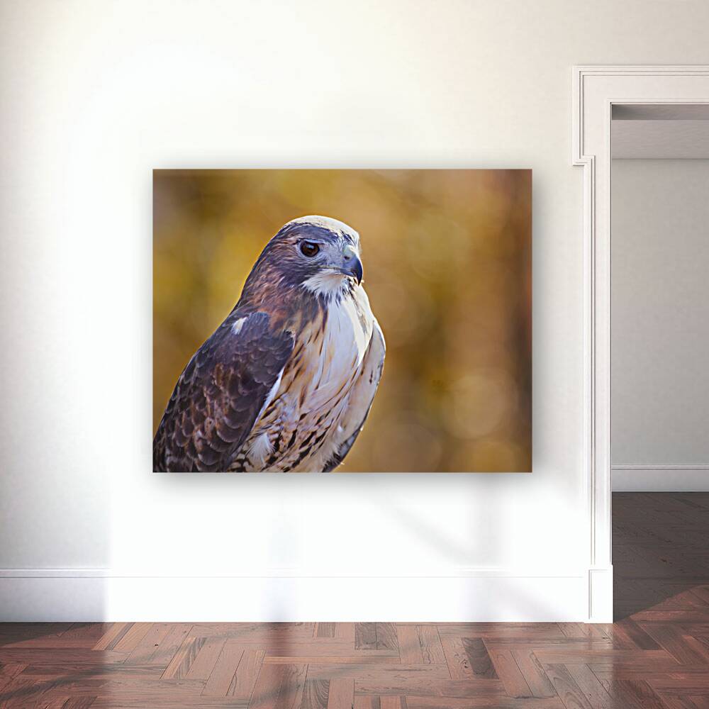 Birds  9 Reproduction