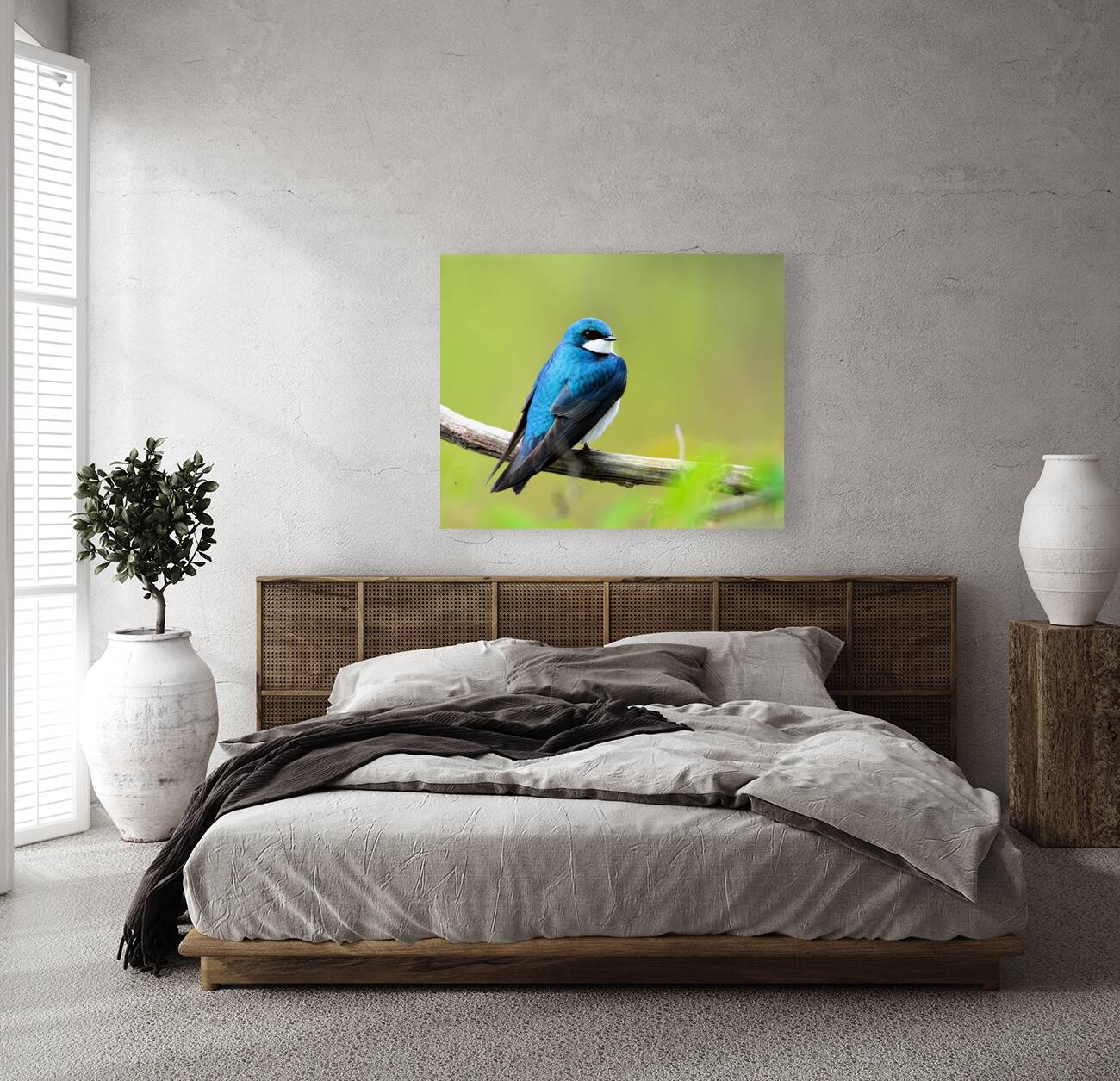 Birds  13 Reproduction