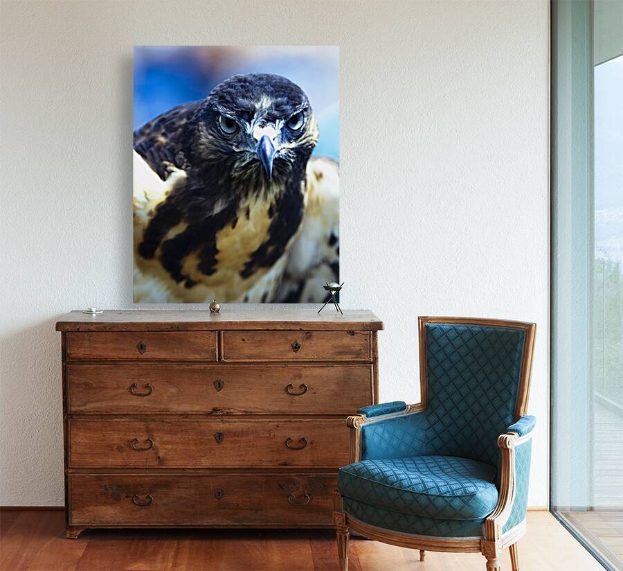 Birds  16 Reproduction