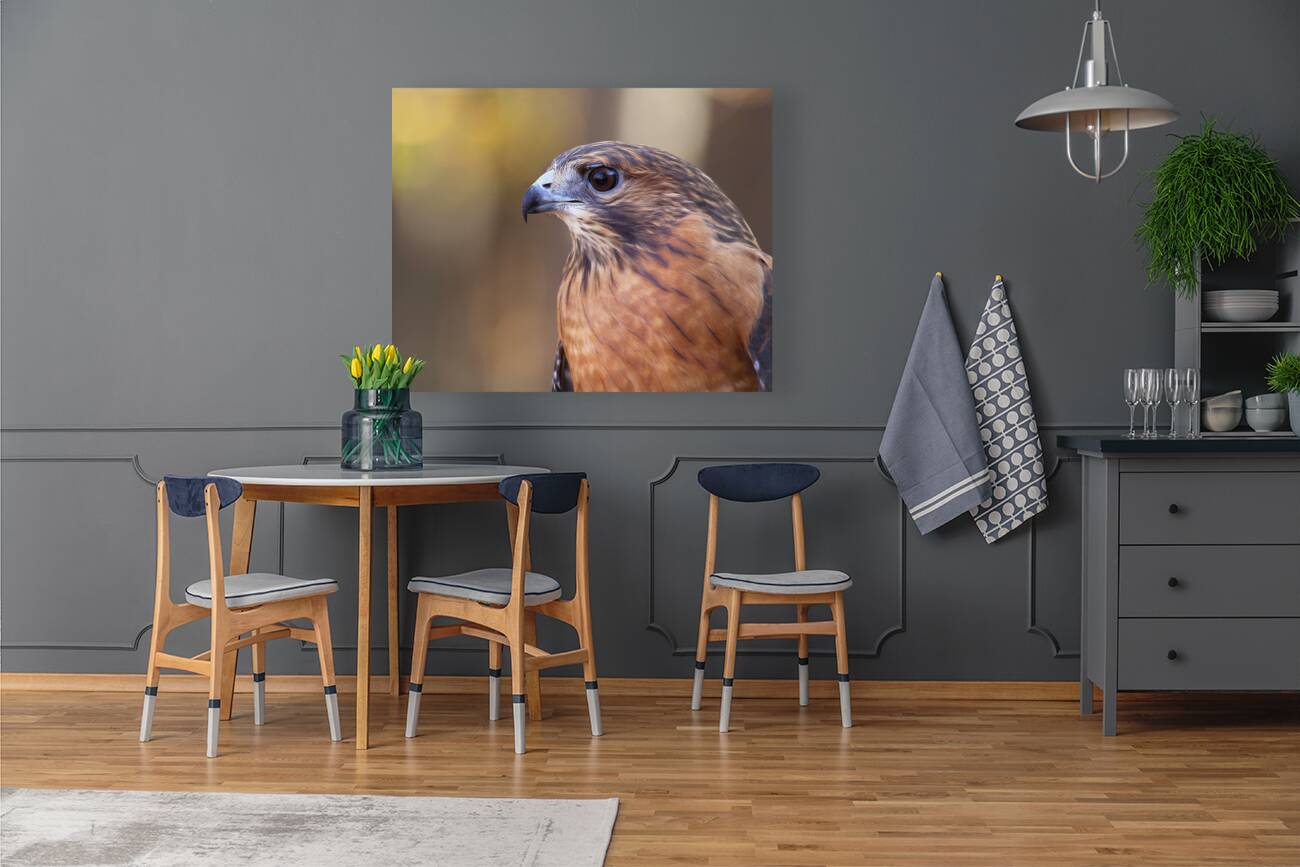 Birds  17 Reproduction