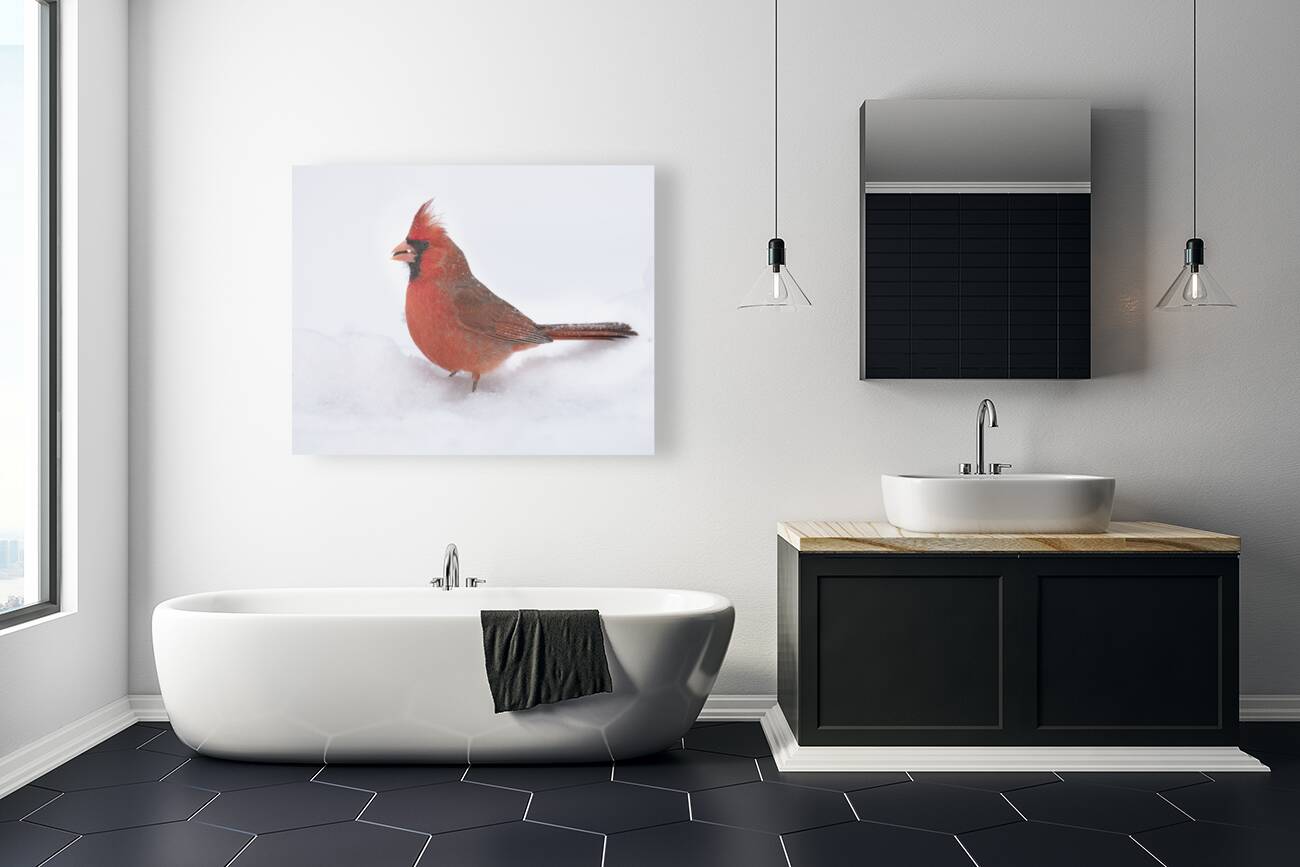 Birds  19 Reproduction