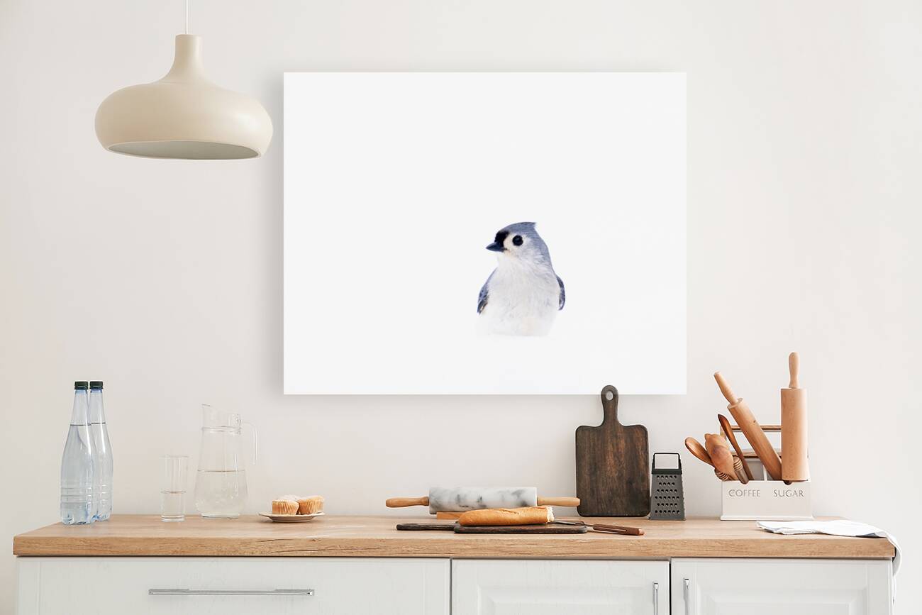 Birds  21 Reproduction