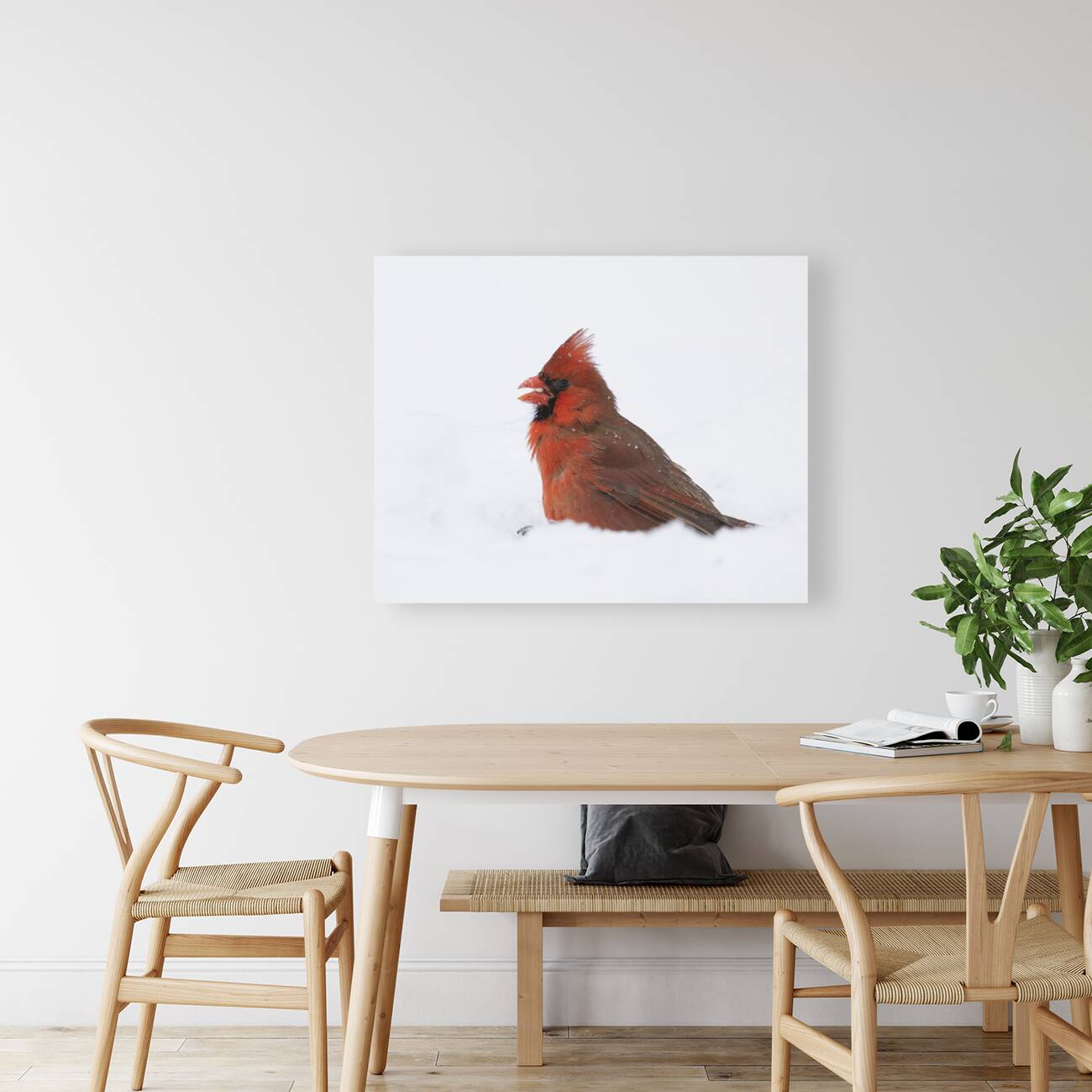 Birds  22 Reproduction