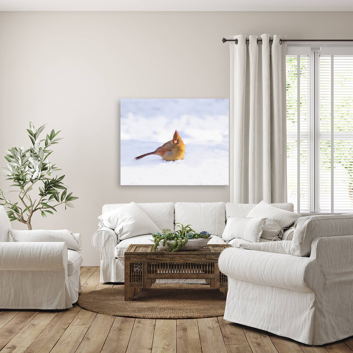 Birds  26 Reproduction