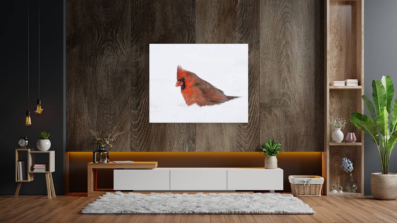 Birds  27 Reproduction