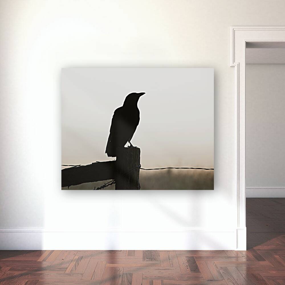 Birds  36 Reproduction