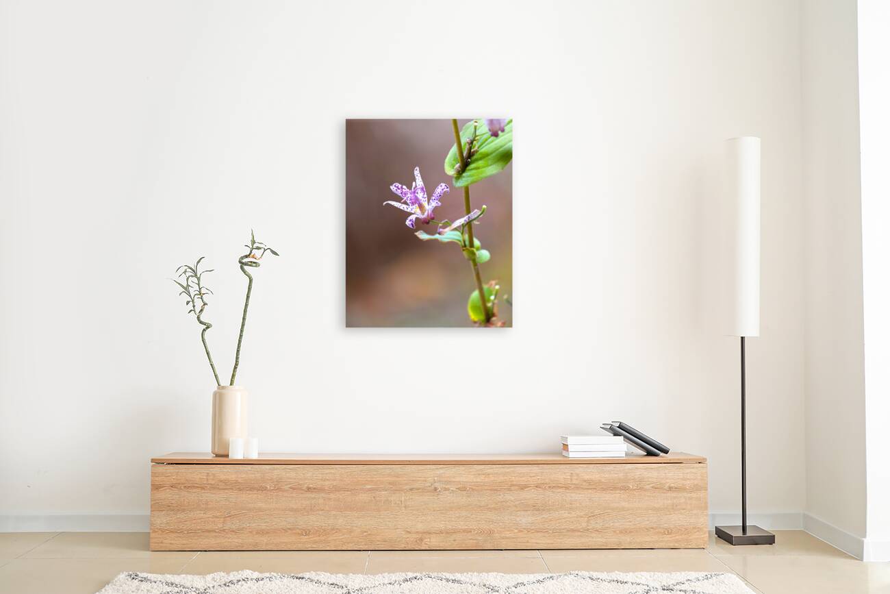 FlowersPlants 25 Reproduction