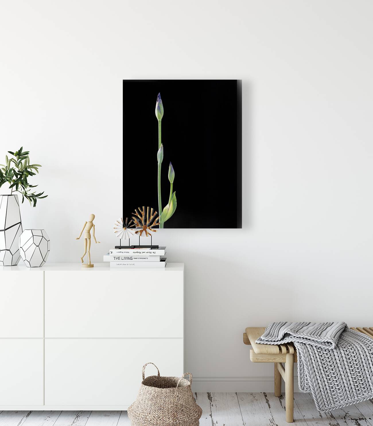 FlowersPlants 28 Reproduction