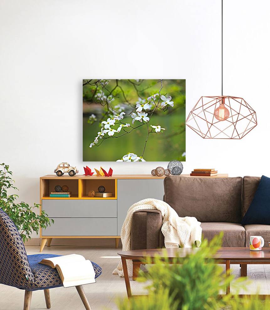 FlowersPlants 33 Reproduction