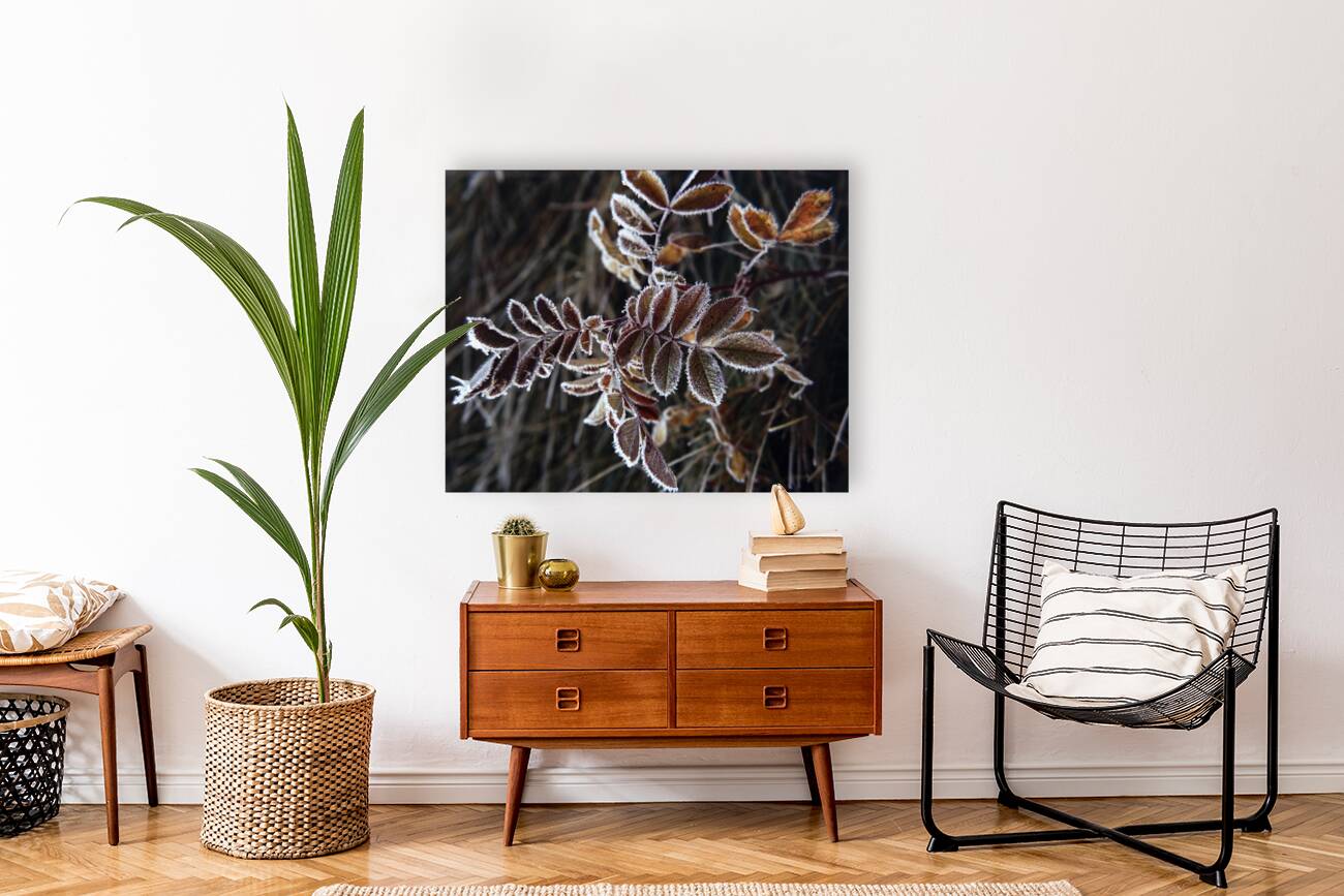 FlowersPlants 35 Reproduction
