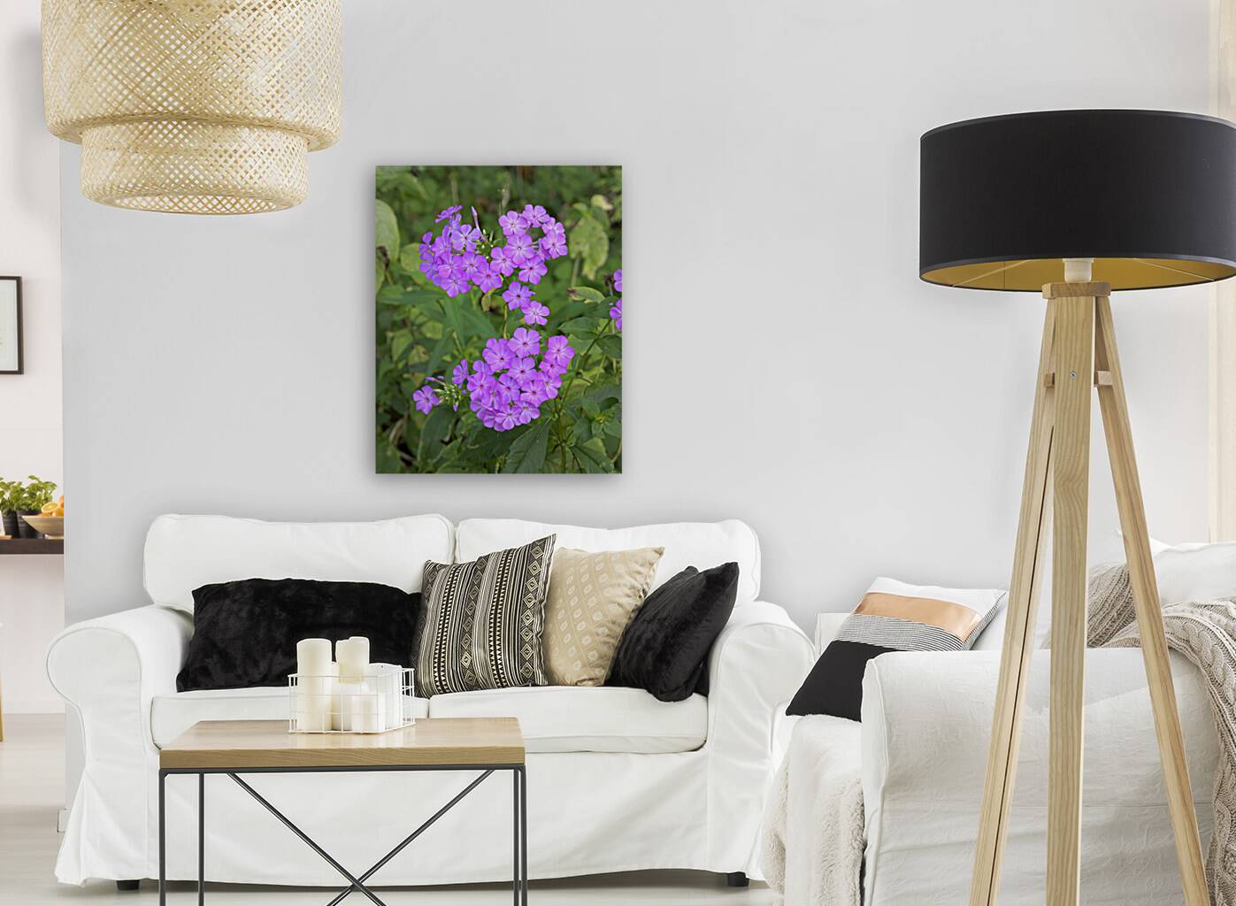 FlowersPlants 46 Reproduction