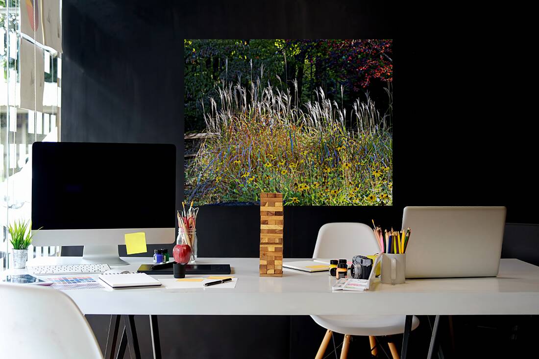 FlowersPlants 48 Reproduction
