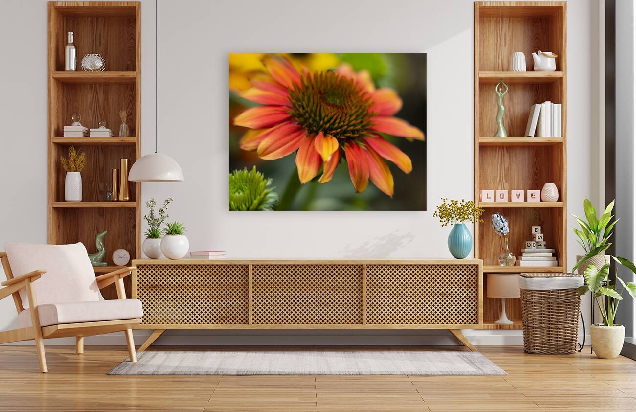 FlowersPlants 53 Reproduction