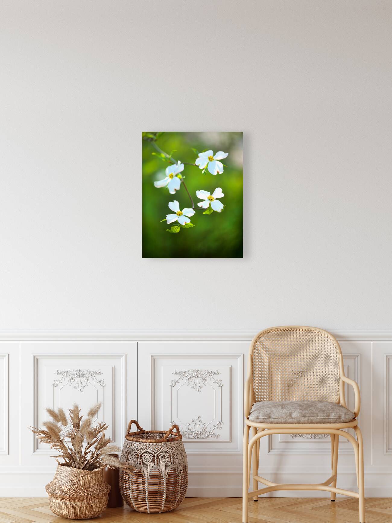 FlowersPlants 58 Reproduction